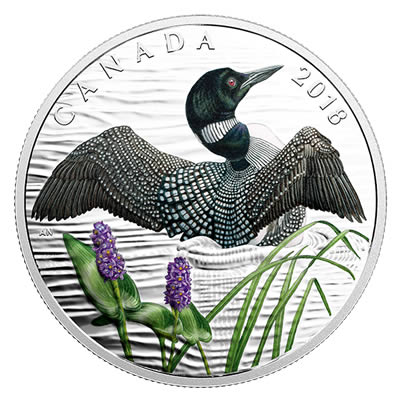 RCM-New-Release:--2018-Pure-Silver-Coin---The-Common-Loon:-Beauty-And-Grace